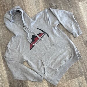 Patagonia Mens Gray Hoodie Pullover Big Graphic Logo Long Sleeve Sweatshirt -XS